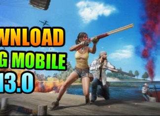 Download PUBG Mobile 0.13.0 Update Beta Version : All the features you need to know
