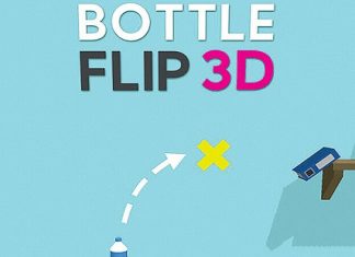 Bottle Flip 3D Game Review