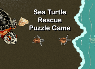 Save Real Turtles By Playing 'Sea Turtle Rescue'