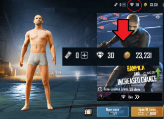 PUBG Mobile: New Diamond Currency And How To Get It