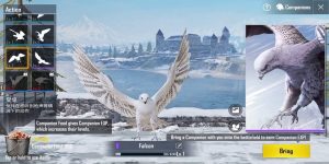 PUBG Mobile Falcon: Everything We Know About Companion Feature
