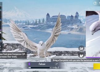 PUBG Mobile Falcon: Everything We Know About Companion Feature