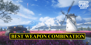 PUBG Mobile Livik Map: Best Gun Combination